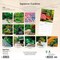 Japanese Gardens | 2026 12 x 24 Inch (Hanging) Monthly Square Wall Calendar | Plastic-Free